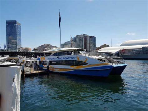 manly fast ferry smart card fares|manly to Watsons bay ferry.